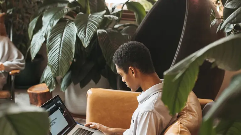 Young man in a room full of plants sitting on a sofa working on a presenation on a laptop