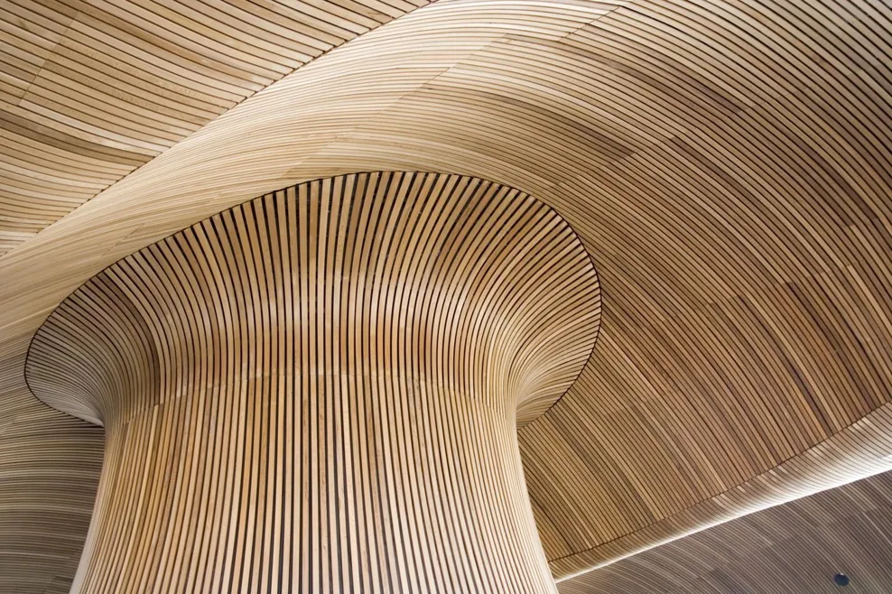 Ceiling details of Welsh Assembly Government Building. Reflecting the forms of a sandy beach.