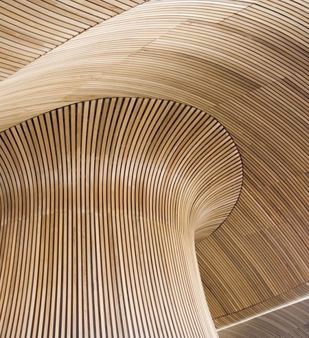 Ceiling details of Welsh Assembly Government Building. Reflecting the forms of a sandy beach.