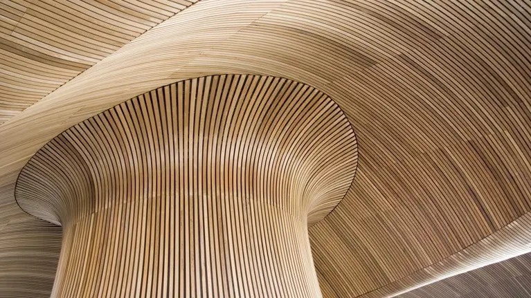 Ceiling details of Welsh Assembly Government Building. Reflecting the forms of a sandy beach.