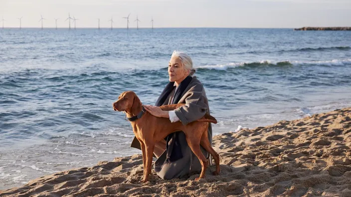 Woman and dog at the beach looking at waves  during sunset with wind turbines onm the background