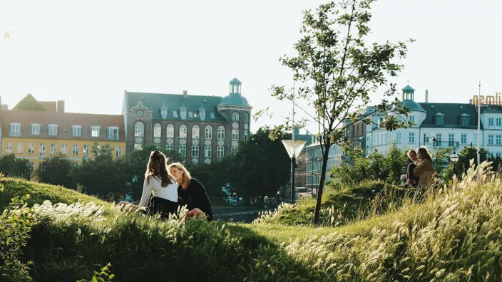 people enjoying the sun in the park